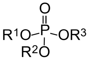 Organophosphate chemical structure